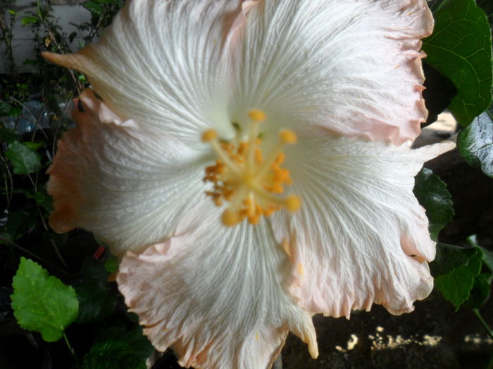 033