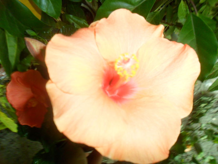 041