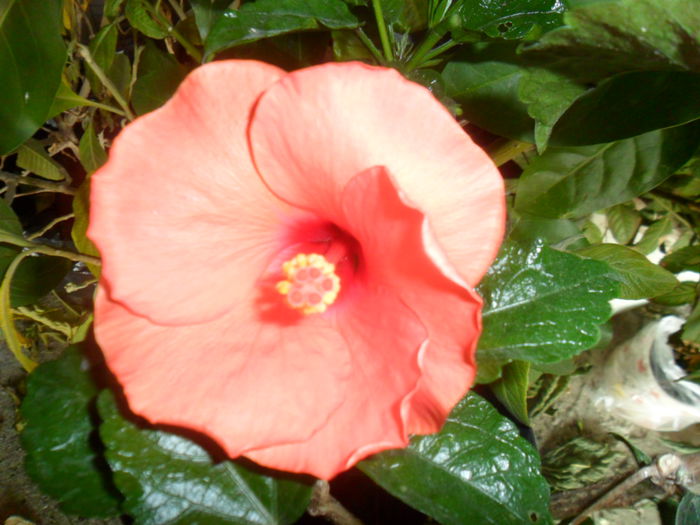 042