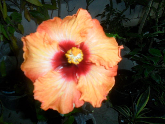 045