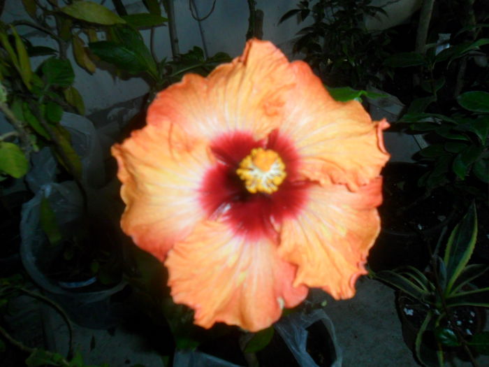 049