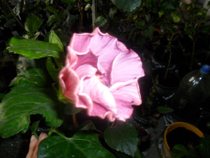 057