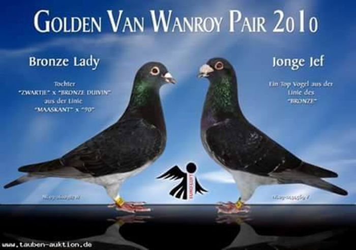 11822516_454894714671018_9078071255346900635_n