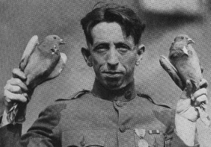 549175_10151804852675614_1288050999_n