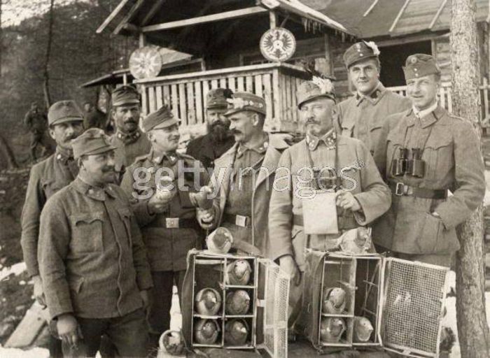 580854_10151804848880614_1730481081_n