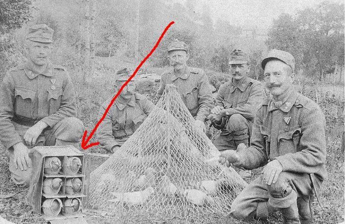 946728_10151804852085614_872479315_n