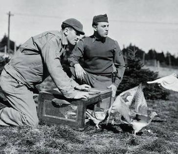 1475983_10151804844110614_1899145803_n