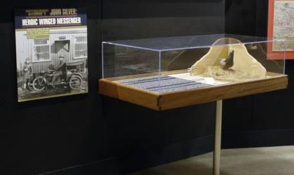 1486719_10151804846850614_576690848_n