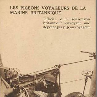 1486740_10151804847500614_1154299095_n