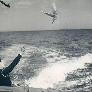 1488248_10151804849100614_320102557_n