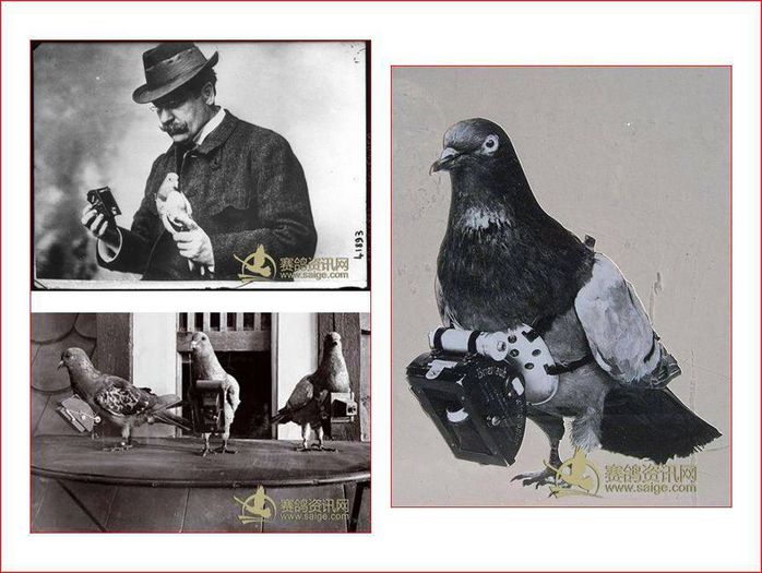 1506664_10151804850425614_2051534635_n