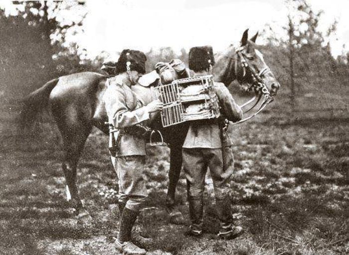 1527108_10151804851755614_1844358070_n