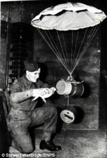 1536735_10151804851370614_1072760858_n