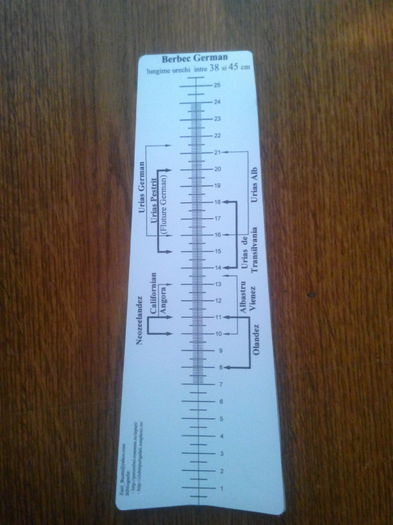 Rigla masurat urechi iepurasi; 1
