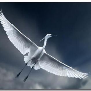 44318_f6a9ea067b6b53cc31b694aabf452305_mdsq