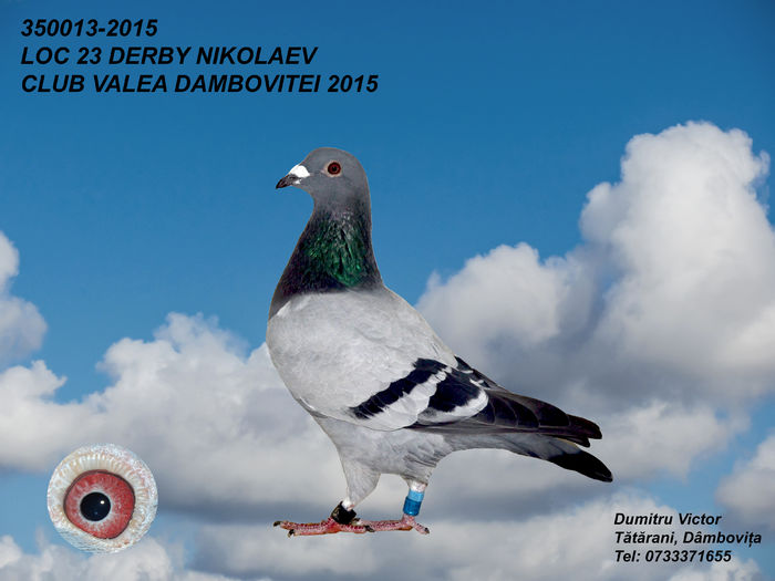  - 2015 Derby Nikolaev