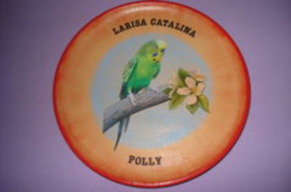104703526_ZZUCYAD3 - postere