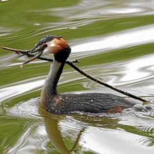 44685_9b64ab49ed3ef01262f98c7481f86a39_mdsq