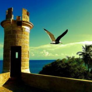 45228_b21c2008ce89ccdc5489e0845eee1117_mdsq - BIRDS