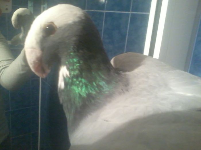 2015-11-07 22.46.45 - contact