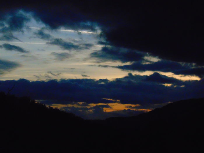 DSC01209