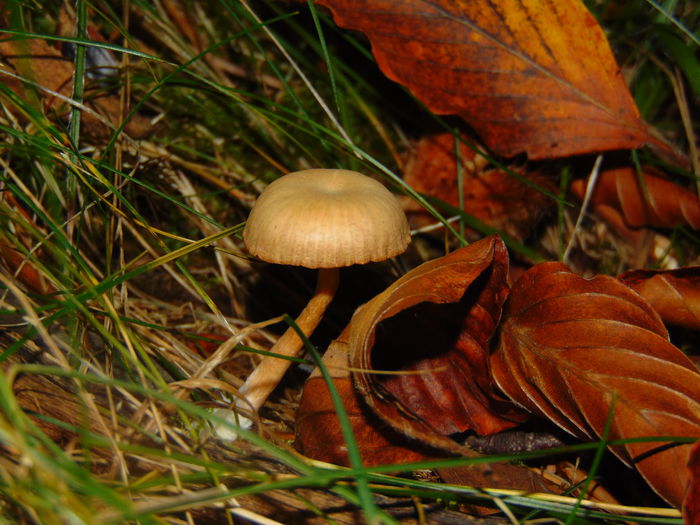 DSC01253