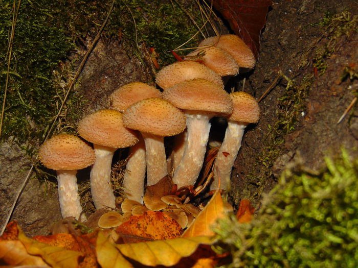 DSC01260