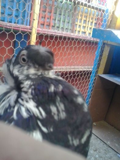 2015-11-04 12.42.58