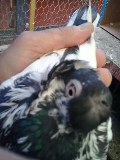 2015-11-04 12.43.07