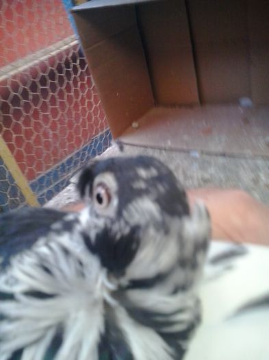 2015-11-04 12.43.26