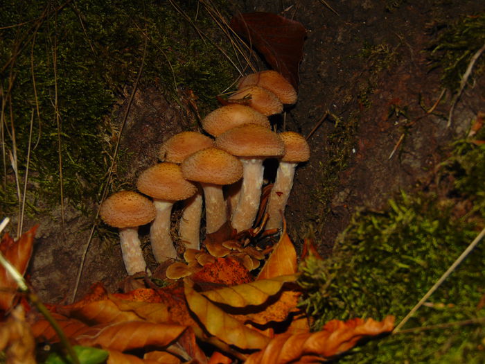 DSC01269