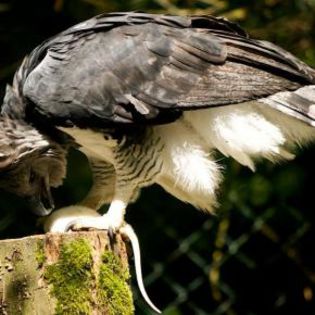 45612_c704e51516f04f519b901ab25b072b7f_mdsq