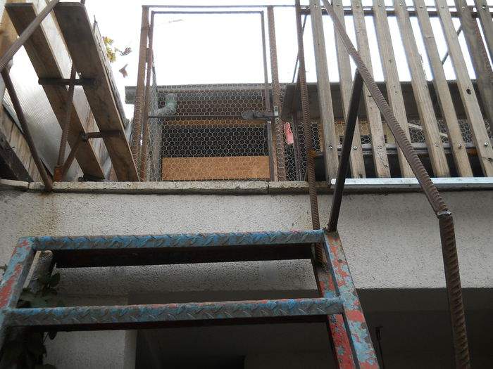 Accesul la cusca -etaj  -1