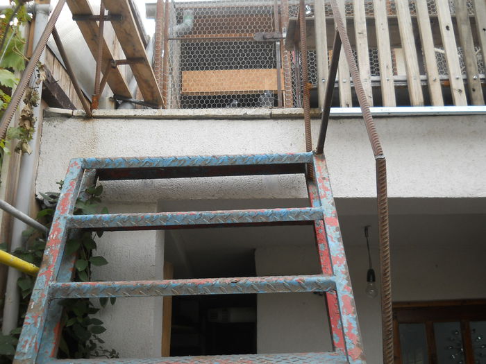 Accesul la cusca -etaj- 2