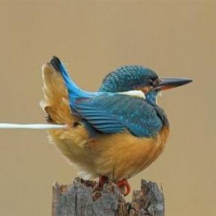 45807_271fa1e2dffd57315d72a8991343741b_mdsq