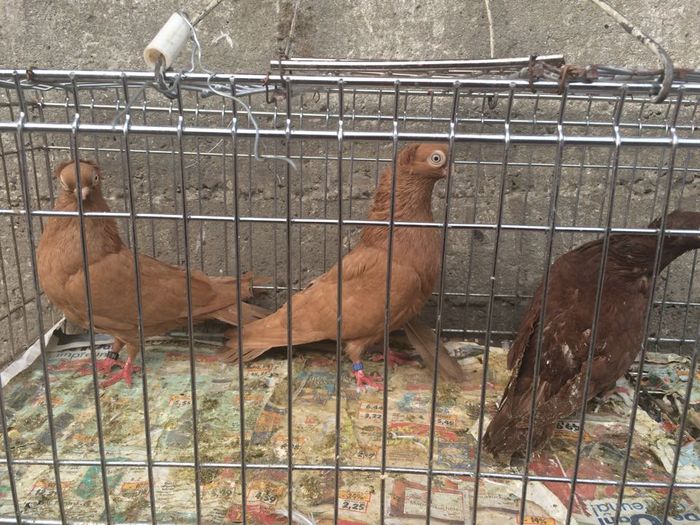 12208038_916816951735880_890509680_n1