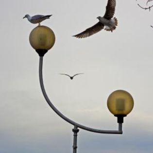 45872_3c2f4480e3199957f1e03748ad060bb4_mdsq