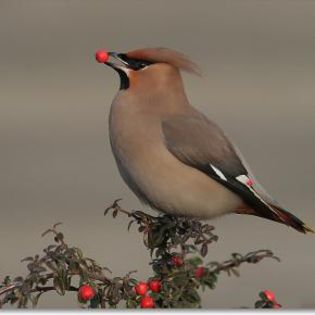 45892_bcd149f3ecfb59724cfd5bd28e7ac7cd_mdsq