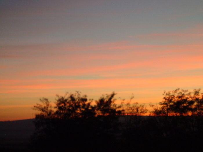 DSC01315