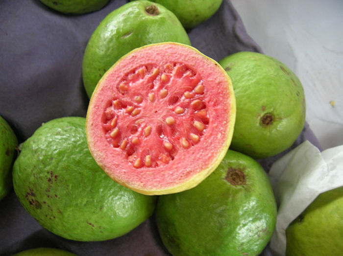 guava - Plante exotice-seminte
