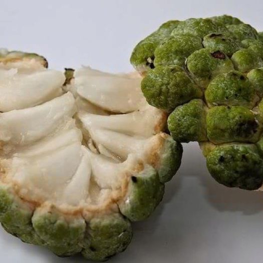 sugar apple; Seminte sugar apple-annona squamosa
5 seminte-20 ron
