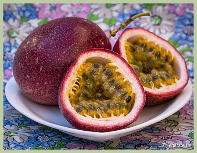 purple passion fruit - Plante exotice-seminte