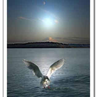 46306_d8133f0e095663decd02bd5eac9924e0_mdsq