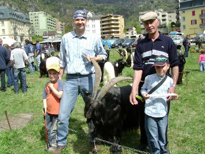 Tapul cu coarne exceptionale