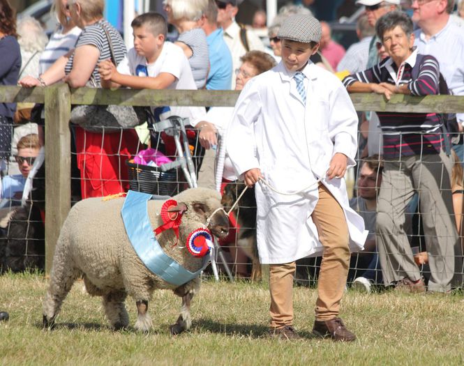 Berbecutul castigator