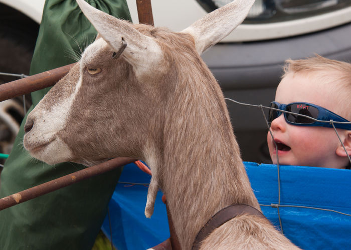 Toggenburg la expo