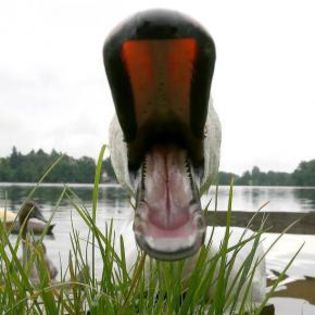 46349_717d9f16d1c1c7b9d762d0e477124dae_mdsq