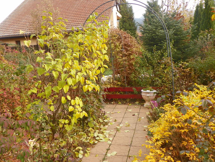 7 nov 043