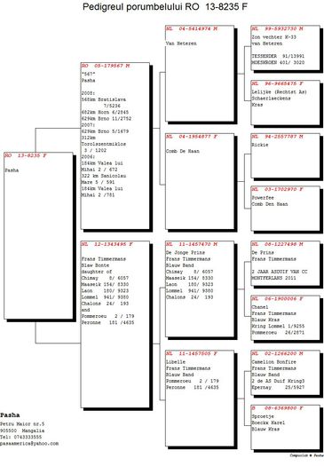8235; norme : viteza, demifond,general
 palmares 2 ani viteza demifond
21 clasari
