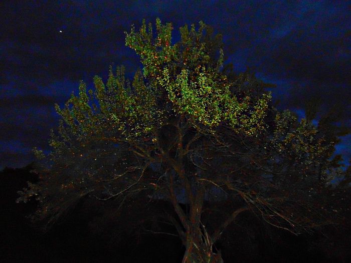 DSC01301